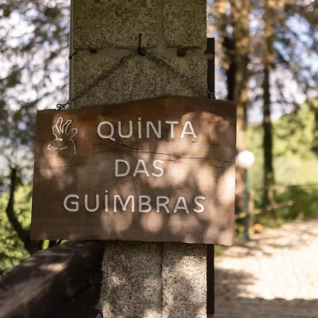 Amanhecer Da Montanha * 吉尔斯